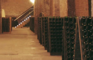 Canelli - 11 anni di patrimonio UNESCO: visite gratuite e iniziative culturali nel weekend