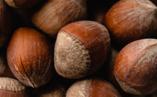 Asti, agricoltura in crisi: prezzi troppo bassi per cereali, nocciole e uva