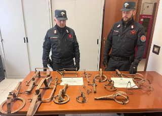 Un anno di intensa attività antibracconaggio per i Carabinieri Forestali
